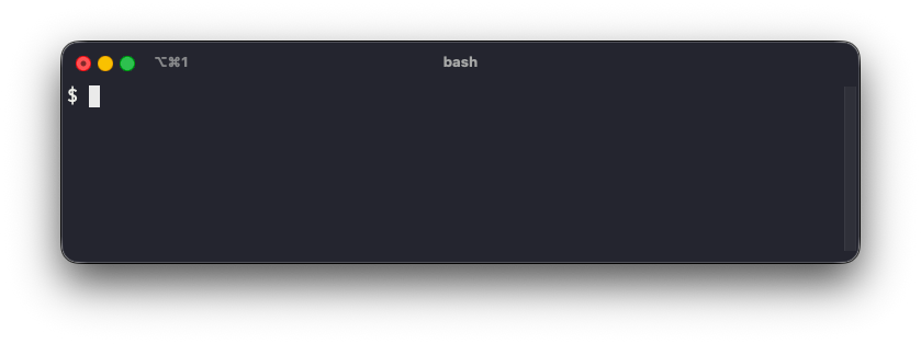 Terminal displaying the prompt "$ "