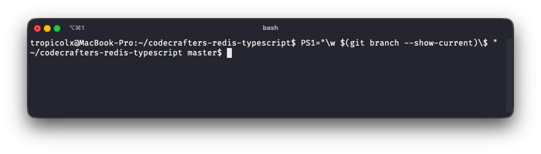 Terminal showing the current git branch as the prompt